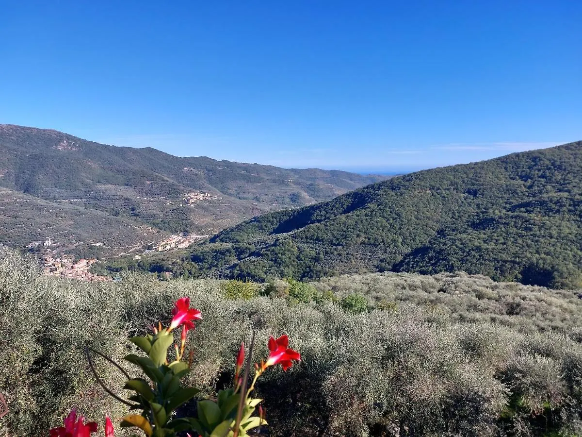 Farm stay Il Nido Tra Gli Ulivi Villa Lucinasco Italy